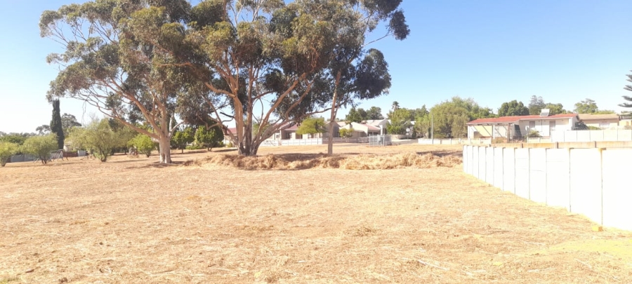  Bedroom Property for Sale in Moorreesburg Western Cape